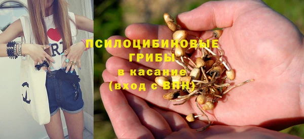 Альфа ПВП Нязепетровск