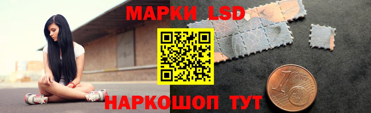 ЛСД экстази ecstasy  Вход с VPN  Прохладный 