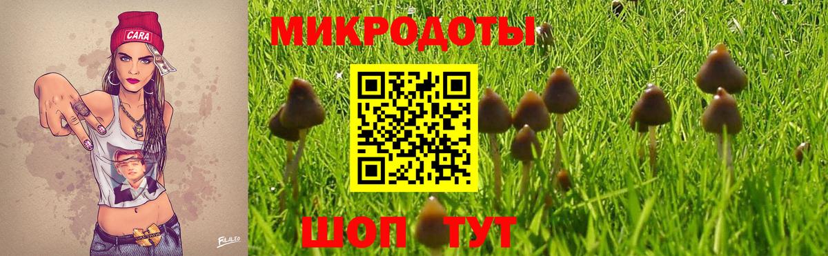 Псилоцибиновые грибы мицелий Прохладный